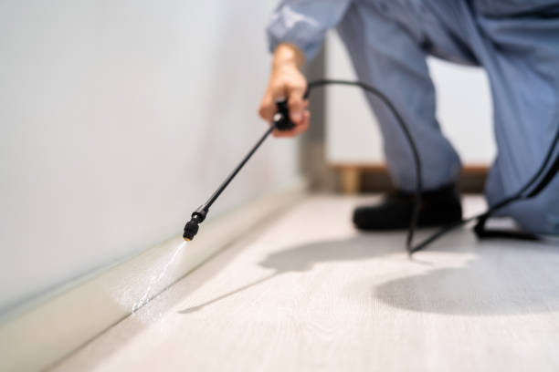Licensed Fumigation Services service in Abingdon, VA - Nex Pest Control