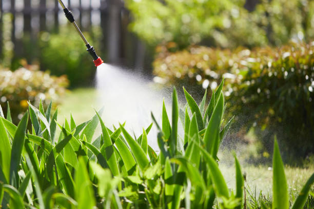 24/7 Emergency Fumigation Services experts in Abingdon, VA