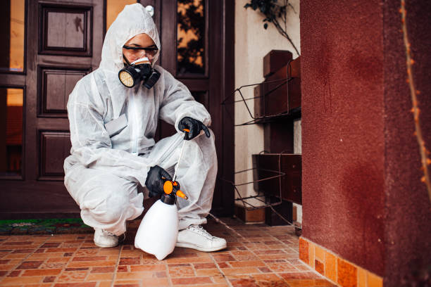 Reliable Fumigation Services contractor in Abingdon, VA by Nex Pest Control