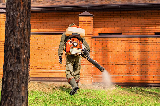 Top rated local Fumigation Services specialists in Abingdon, VA